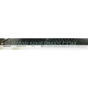 Siemens 6DD2920-0AL0 Module Details & Connectors View