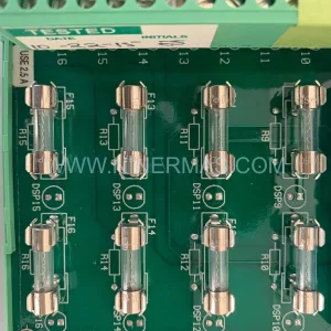7400172-110 Detail 1 - Triconex (Schneider Electric)