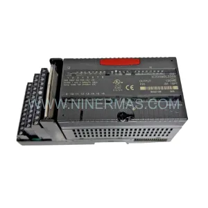 GE Fanuc IC200MDL330H VersaMax 120VAC Output Module | New & Original