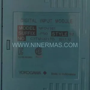 Yokogawa NFDV161-P50 S2 Module Details & Connectors View