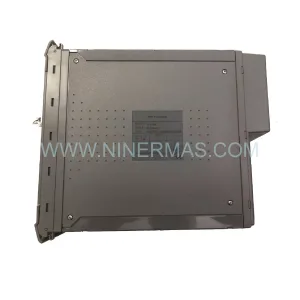 ICS TRIPLEX T8110 Module Details & Connectors View