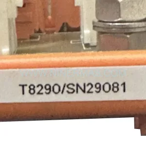 ICS TRIPLEX T8290 Module Details & Connectors View