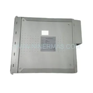 ICS TRIPLEX T8442 Module Details & Connectors View