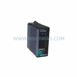 Foxboro AO2 Analog Output Module product image