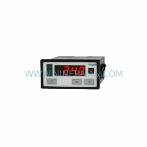 NEGELE DPM-GS-2GW-S Digital Process Indicator product image